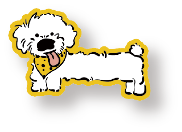 宠物周边挂件 D